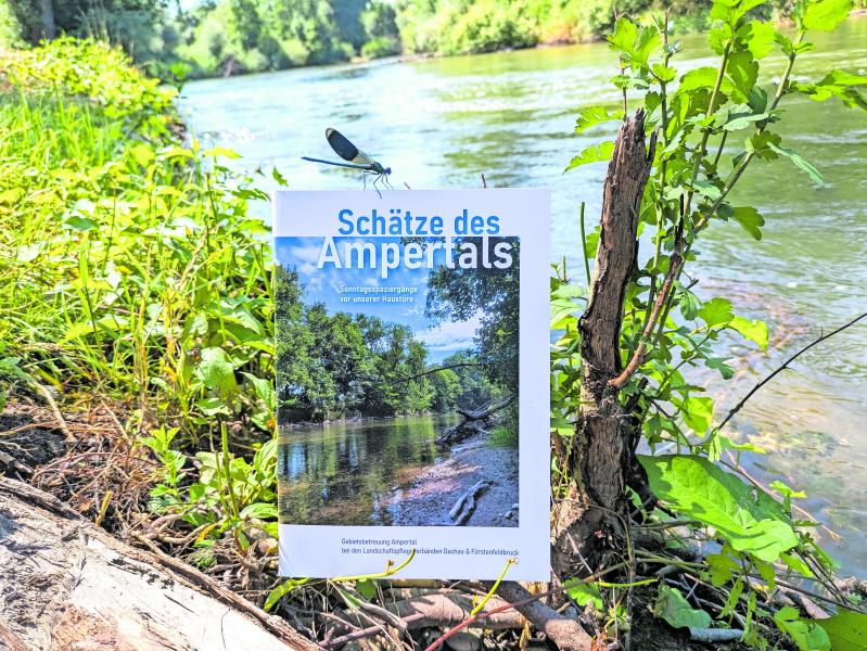 Warum in die Ferne schweifen, wenn das Gute liegt so nah? Vor allem das Natura 2000-Gebiet Ampertal bietet viel schöne Ecken und ein einzigartiges Naturerlebnis. Doch wo fängt man am besten an und was kann man alles entdecken? Bereits 2004 nahm sich die damalige Gebietsbetreuerin Barbara Stammel genau diesem Thema an und initiierte die Broschüre „Schätze des Ampertals“.