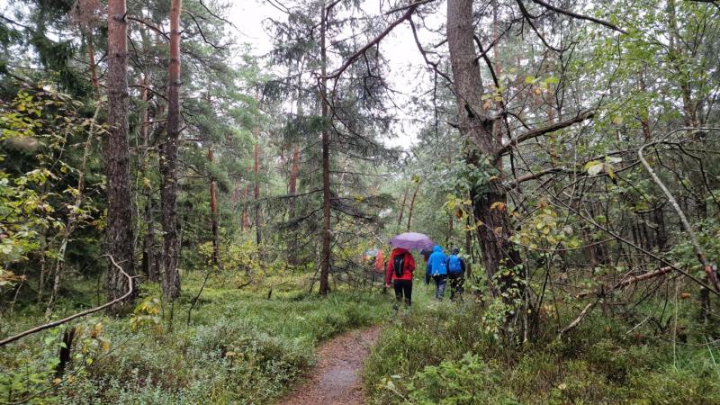 – „Das Moor ist zu jeder Jahreszeit und bei jedem Wetter schön!“, erklärte Hermann Neubauer bei seiner Führung durch das Haspelmoor Mitte August, als der Regen auf die Schirme und Regenmäntel von 13 naturbegeisterten Teilnehmern niederprasselte.