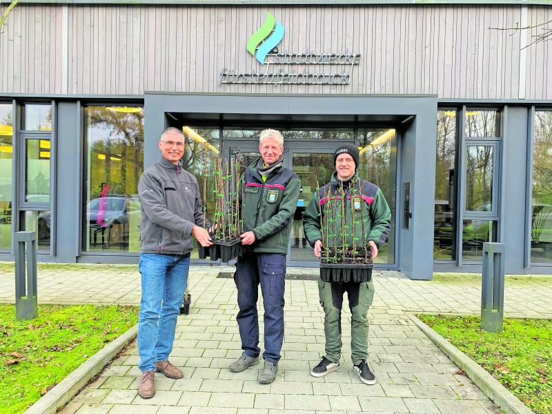 Erfolgreiche Zusammenarbeit für die Zukunft der Wälder: Stadtwerke Fürstenfeldbruck unterstützen auch im kommenden Jahr das Projekt „Zukunftswald“ in der Region. Das Amt für Ernährung, Landwirtschaft und Forsten (AELF) erhält erneut 1.000 Elsbeeren-Setzlinge für den Umbau der nahegelegenen Wälder.