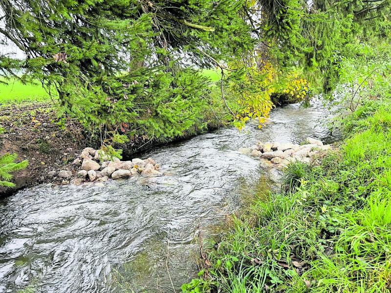 Die Maßnahme „Erhöhung der Gewässerstrukturvielfalt am Starzelbach“ unterhalb der Kneippanlage ist vollendet. Dadurch wird sich die Gewässergüte für die Lebewesen im Starzelbach verbessern.