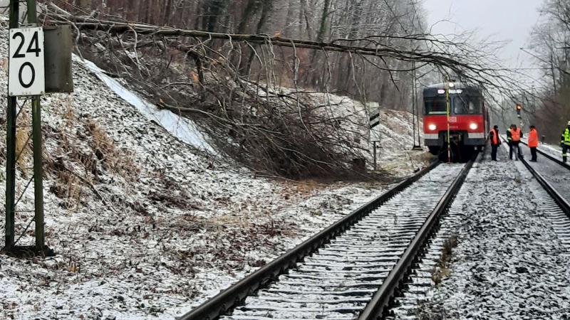 Am Donnerstagmorgen (16. Januar) stürzte zwischen Buchenau und Fürstenfeldbruck ein abgebrochener Baum in die Oberleitung. Es kam zu erheblichen Behinderungen im Bahnverkehr der Strecke von und nach Memmingen.