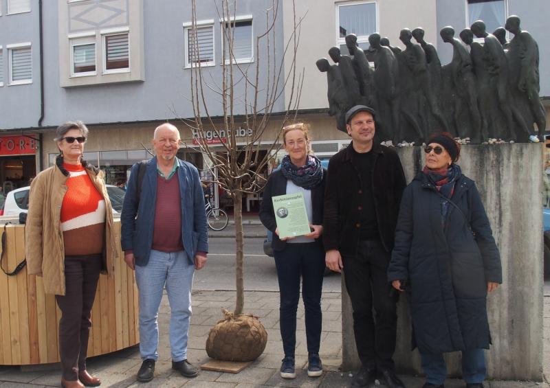 Fürstenfeldbruck – Bei wärmender Frühlingssonne pflanzte der Arbeitskreis Gedenken im Historischen Verein Fürstenfeldbruck (HVF) in Kooperation mit der Stadt Fürstenfeldbruck vergangenen Freitag einen Korbiniansapfelbaum. 