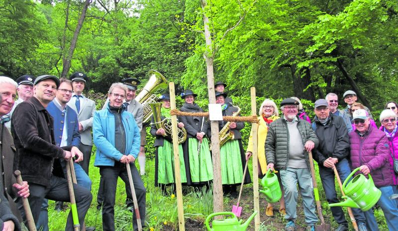  Pflanzung eines ca. sechs Meter hohen und etwa 20 Jahre alten Gingko-Baumes neben dem Brucker Kriegsgefangenenfriedhof am Henrik-Moor-Weg, gespendet als Friedenssymbol von Gärtner Ulrich Würstle (Mitte, mit Gießkanne). 