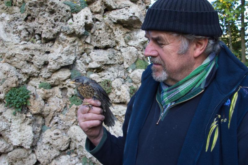 Gerhard Wendl sucht für die bevorstehende Vogelnotruf-Saison tatkräftige Unterstützung.