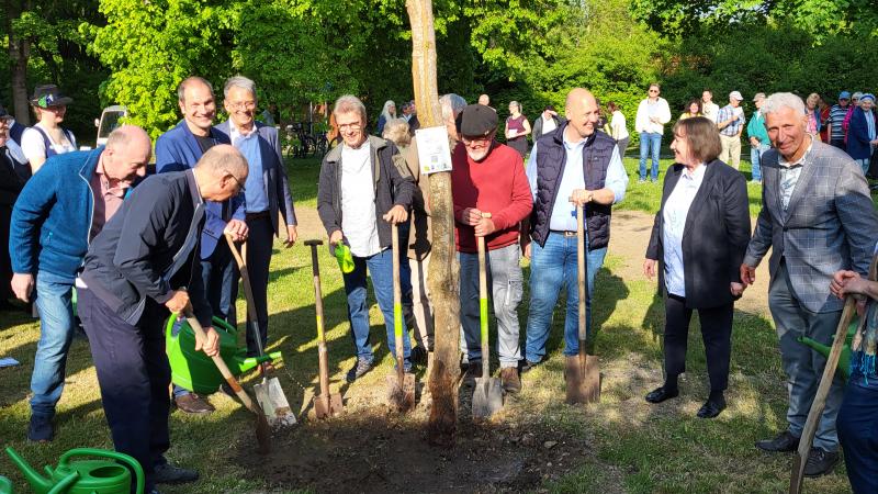 Baumpflanzungen Friedensweg