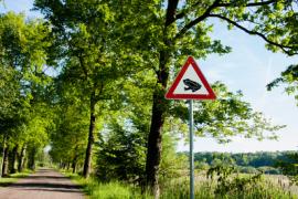 Puchheim - Wegen des anhaltend milden Wetters machen sich heuer Kröten und Frösche schon frühzeitig auf den Weg zu ihren Laichgewässern. Dabei werden sie insbesondere durch den Straßenverkehr gefährdet.
