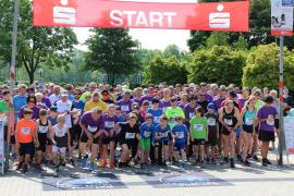 320 Läuferinnen und Läufer begaben sich am 19.Mai 2019 auf die Strecke, die Kinder auf eine 1km-Distanz, die Erwachsenen liefen 3,3 km, 6,7 km oder eine 10 km-Strecke. Bei angenehmen Temperaturen starteten zuerst die Kinder unter großer Anfeuerung durch Eltern und Freunde.  