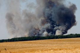 Wegen der anhaltend hohen Waldbrandgefahr hat die Regierung von Oberbayern die Luftbeobachtung für Donnerstag, 25. Juli bis einschließlich Freitag, 26. Juli angeordnet. Dies geschieht in Abstimmung mit dem Amt für Ernährung, Landwirtschaft und Forsten Pfaffenhofen a.d.Ilm, das für ganz Oberbayern zuständig ist. 