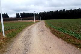 Aufruhr in der Gilchinger Waldkolonie. Seit bekannt ist, dass die verlängerte Melchior-Fanger-Straße, bisher ein gut befestigter Feldweg, asphaltiert werden soll, häufen sich die Beschwerden. Für kommenden Samstag hat Dr. Helmut Pabst zu einer Unterschriftenaktion eingeladen.