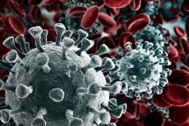 Aktuell macht sich Panik breit in vielen Teilen Bayerns. Grund für die Unruhe ist das Corona Virus, das in China erstmals auftrat und nun auch Deutschland getroffen hat. Bereit über 40 Menschen wurden in Bayern positiv getestet. 