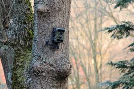 Ein Jäger hat in einem Waldgebiet in Holzhausen mehrere Wildkameras angebracht und konnte am gestrigen Vormittag von zu Hause über einer Liveübertragung feststellen, wie zunächst drei Waldarbeiter an einer dieser Wildkamera sehr interessiert vorbeigingen.  Kurz danach konnte er beobachten, dass die besagte Wildkamera von den drei Personen abmontiert wurde und anschließend in einer Tüte verstaut wurde. 