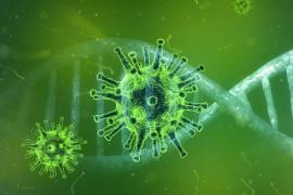 Coronavirus