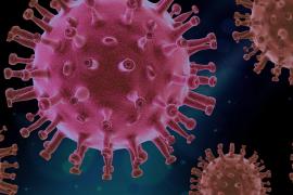 Coronavirus