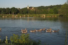 Amper-Stausee