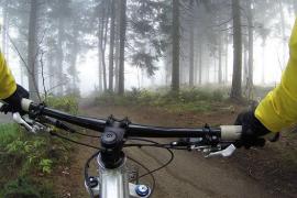 Gerade jetzt im Sommer treibt es viele Menschen an die frische Luft zum Wandern oder Radfahren. Doch immer wieder kommt es vor, dass gerade die Vegetation in Wäldern durch unachtsame Mountainbiker geschädigt wird. Landrat Stefan Frey appelliert daher eindringlich, ausschließlich ausgewiesene Wege zu befahren.  