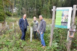 Die Stadtwerke Fürstenfeldbruck setzen ihr Engagement bei der ‚Initiative Zukunftswald‘ fort. Im Herbst beginnen wieder Baumpflanzaktionen in Kooperation mit dem Amt für Ernährung, Landwirtschaft und Forsten Fürstenfeldbruck (AELF). 