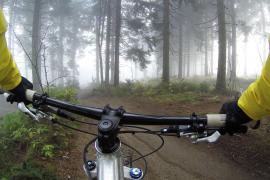 - Im Wald zwischen Biburg und Schöngeising haben Unbekannte mehrere Trampelpfade mit Nägeln präpariert. 