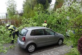 Richtiges Glück hatten heute früh zwei Autobesitzerinnen in der Josef-Haydn-Straße, als gegen 08.50 Uhr plötzlich ein großer Laubbaum vermutlich wegen des nächtlichen Sturms vom Grundstück eines 54-jährigen Eichenauers auf die Straße umstürzte.