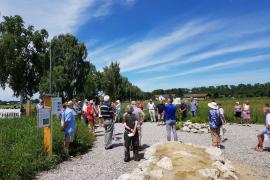 Wildbienengarten in Puchheim