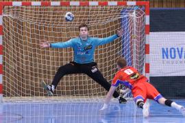 Handballer im Tor