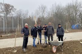 Für das frisch angelegte Sportareal gegenüber dem Verwaltungsgebäude der Stadtwerke spendeten diese einen Teil der Begrünung – 14 große Elsbeeren wurden nun von den Verantwortlichen gepflanzt. 