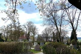 Abwarten und beobachten lautet die Devise von Christine Hammel, Leiterin der Abteilung Umwelt, Energie und Klima in der Gemeinde Gilching. Unter ihrer Federführung fand eine Vergrämungsaktion von Saatkrähen am Friedhof im Altdorf statt. Entfernt wurden 15 Nester ohne Gelege. Inwieweit eine Entlastung erfolgt, bleibt abzuwarten.