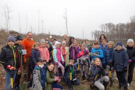 Mitmachen statt nur zuschauen – nach diesem Motto pflanzte jeder der 40 Schüler der Grundschule Inning am Ammersee Ende März einen Jungbaum, um aktiv beim örtlichen Klima- und Umweltschutz mitzuwirken. Schirmherr und Organisator dieser Pflanzaktion in einem Waldgebiet unweit von Inning ist das Amt für Ernährung, Landwirtschaft und Forsten Fürstenfeldbruck (AELF).