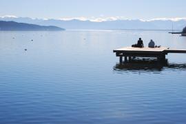 Das Landratsamt Starnberg macht darauf aufmerksam, dass das Mitnehmen von Hunden in den Erholungsgebieten während der Badesaison vom 15. Mai bis 15. September nicht erlaubt ist. 