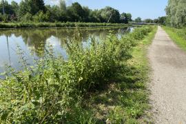 Am Dienstag, den 19. Juli 2022, werden Sträucher, Gras und Büsche entlang der Amper eingekürzt. Ziel ist dabei, die Zufahrtswege und Wanderpfade an der Amper freizuhalten und die Dämme zu kontrollieren. 