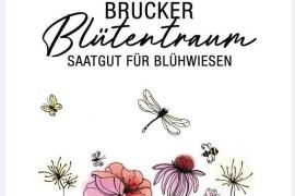 Die Stadtverwaltung Fürstenfeldbruck greift die Anregungen und Wünsche nach einem  grüneren Bruck auf und verteilt Saatgutmischungen an die Bürgerinnen und Bürger. 