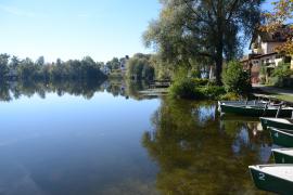 Dieses Jahr befinden sich an einigen Stellen besonders viele Wasserpflanzen im See. Die Gemeinde empfiehlt daher allen Bürgerinnen und Bürgern, diese Stellen im See zu meiden. Das Vorkommen von Wasserpflanzen ist in einem Naturgewässer völlig normal. 