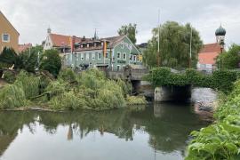 Wer kennt sie nicht. Die Trauerweide an der Amper-Brücke. Viele Brucker Bürger kennen sie von Kind an und haben so manche Zeit auf den Bänken an der Amper mit Blick auf die Brücke mit ihrer Trauerweide verbracht und genossen. 