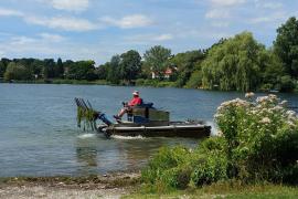  Um den Wasserpflanzen im Weßlinger See Einhalt zu gebieten und den Badegästen das Schwimmen im See wieder angenehmer zu machen, hat die Gemeinde nun ein Mähboot ins Wasser geschickt. An manchen Stellen wucherten die Pflanzen bis knapp unter die Wasseroberfläche, was einige Schwimmer als störend, teils sogar als beängstigend empfunden haben.   