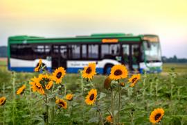 Der Landkreis Fürstenfeldbruck lädt am Autofreien Sonntag, 10. September 2023, alle Mitbürgerinnen und Mitbürger ein, MVV-RegionalBus-Linien kostenfrei zu nutzen. Das Angebot gilt für alle Linien die sonntags im Landkreis Fürstenfeldbruck unterwegs sind: X800, X850, X900, 157, 260, 815, 830, 831, 840, 843, 854, 858, 859, 860, 862, 873 von Betriebsbeginn bis Betriebsende, jeweils für die Strecken innerhalb des Kreisgebietes. 