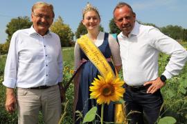 Seit vielen Jahren legt der Landtagsabgeordnete Hans Friedl (FW) aus Alling aus Überzeugung großflächig Blühwiesen und Blühstreifen an: jährlich zwischen sechs und 14 Hektar. Diese Flächen bieten nicht nur Unterschlupf für Fasane, Rehe oder Hasen, sondern werden auch ganz besonders von Bienen genutzt, was nicht nur die umliegenden Imker sehr erfreut.