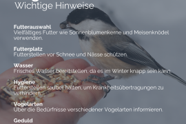 Die Terrasse ist für viele Menschen der Lieblingsplatz im Sommer und wird fast schon als zusätzliches Zimmer genutzt. Doch auch im Winter tut es gut, an der frischen Luft zu sein und die Terrasse nicht brachliegen zu lassen. Dieser Artikel zeigt verschiedene Möglichkeiten auf, wie die Terrasse auch im Winter gemütlich und einladend bleibt. Es soll unter anderem um die Erwärmung des Außenbereichs, Sitzgelegenheiten, Dekoration, winterharte Pflanzen und Tipps für das Füttern von Vögeln im Winter gehen.