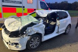 - Ein VW- Fahrer war auf der Kreisstraße in Richtung Moorenweis unterwegs, als kurz vor Purk zwei entlaufende Pferde vor ihm auftauchten. Der PKW erfasste eines der Pferde frontal. Das Tier wurde gegen die Windschutzscheibe geschleudert und flog anschließend noch in das entgegenkommende Fahrzeug.