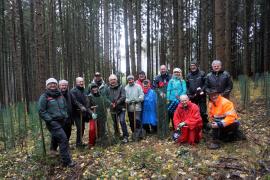 Im Allinger Gemeindewald wurden noch mehr junge Tannen gepflanzt. Lara Rösel, Projektmanagerin der Initiative Zukunftswald am AELF (Amt für Ernährung, Landwirtschaft und Forsten) Fürstenfeldbruck, hat gemeinsam mit Bauhofleiter Franz Heiß diese Pflanzaktion organisiert.