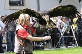 Die 26. Internationalen Naturfototage Fürstenfeld finden wieder in passend pittoreskem Ambiente statt: am Wochenende der Kalenderwoche 16: von 19. bis 21. April im und rund ums Veranstaltungsforum.