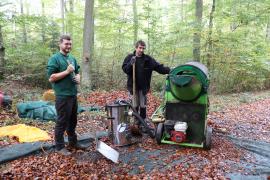 – Wie Landwirte und Gärtner Samen benötigen, um Pflanzen zu ziehen, so benötigen Förster und Waldbesitzer Samen, um neue Bäumchen anzuziehen, die man dann pflanzen kann. Doch wo kommen diese Samen her? Im Wald nahe Jesenwang fand kürzlich die Ernte von Bucheckern statt, die für die Anzucht von neuen Rotbuchen benötigt werden. 