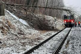 Am Donnerstagmorgen (16. Januar) stürzte zwischen Buchenau und Fürstenfeldbruck ein abgebrochener Baum in die Oberleitung. Es kam zu erheblichen Behinderungen im Bahnverkehr der Strecke von und nach Memmingen. 