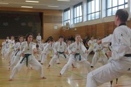 Einen weiteren Schritt auf dem Weg zum schwarzen Gürtel konnten die Mitglieder des Olchinger Taekwondo-Vereins Taeryon Ende Februar bei der halbjährlich stattfindenden Farbgürtelprüfung zurücklegen.