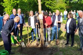 Baumpflanzungen Friedensweg