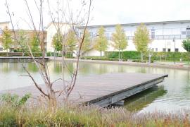 Seniorin stürzt in den See