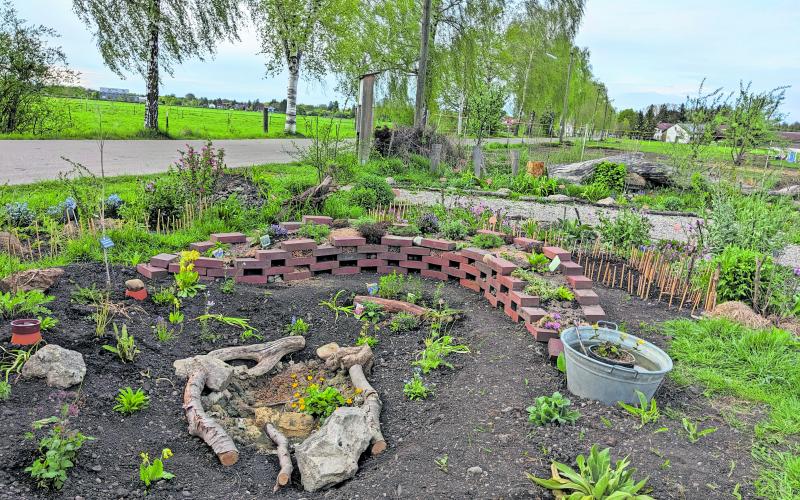 Wildbienengarten