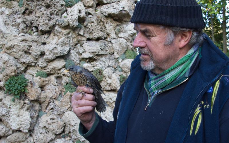 Gerhard Wendl sucht für die bevorstehende Vogelnotruf-Saison tatkräftige Unterstützung.