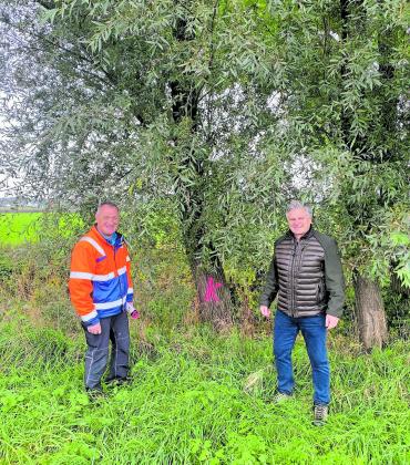 Gemeinsam mit der Unteren Naturschutzbehörde prüfen Bürgermeister Stefan Joachimsthaler und Bauhofleiter Baum für Baum: Welche der gefällten Weiden könnte eine Kopfweide werden, dafür steht das K.