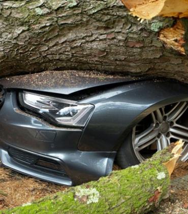 Ein umgestürzter Baumstamm liegt auf einem Auto mit beschädigter Motorhaube.